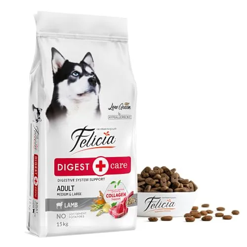 Felicia Az Tahıllı 15 Kg Yetişkin Kuzulu M/Large Breed Hypoallergenic Köpek Maması